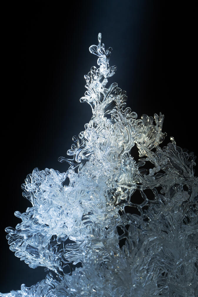 Ephemeral II